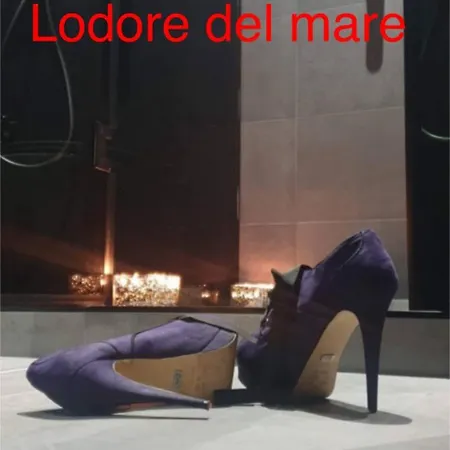 Apartment Lodore Del Mare On The Split