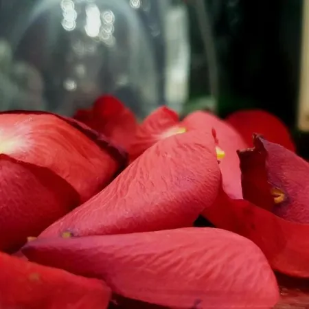 Lodore Del Mare At Beautiful Znjan